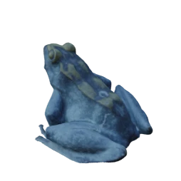 Frog input view 2