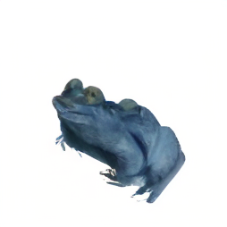 Frog NAMVIS-generated view 1
