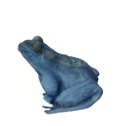 Frog NAMVIS-generated view 2